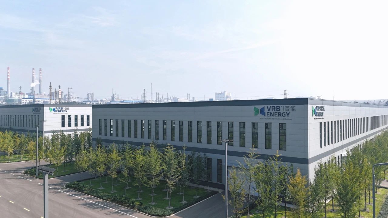 1729040147935487.jpg 10.jpg