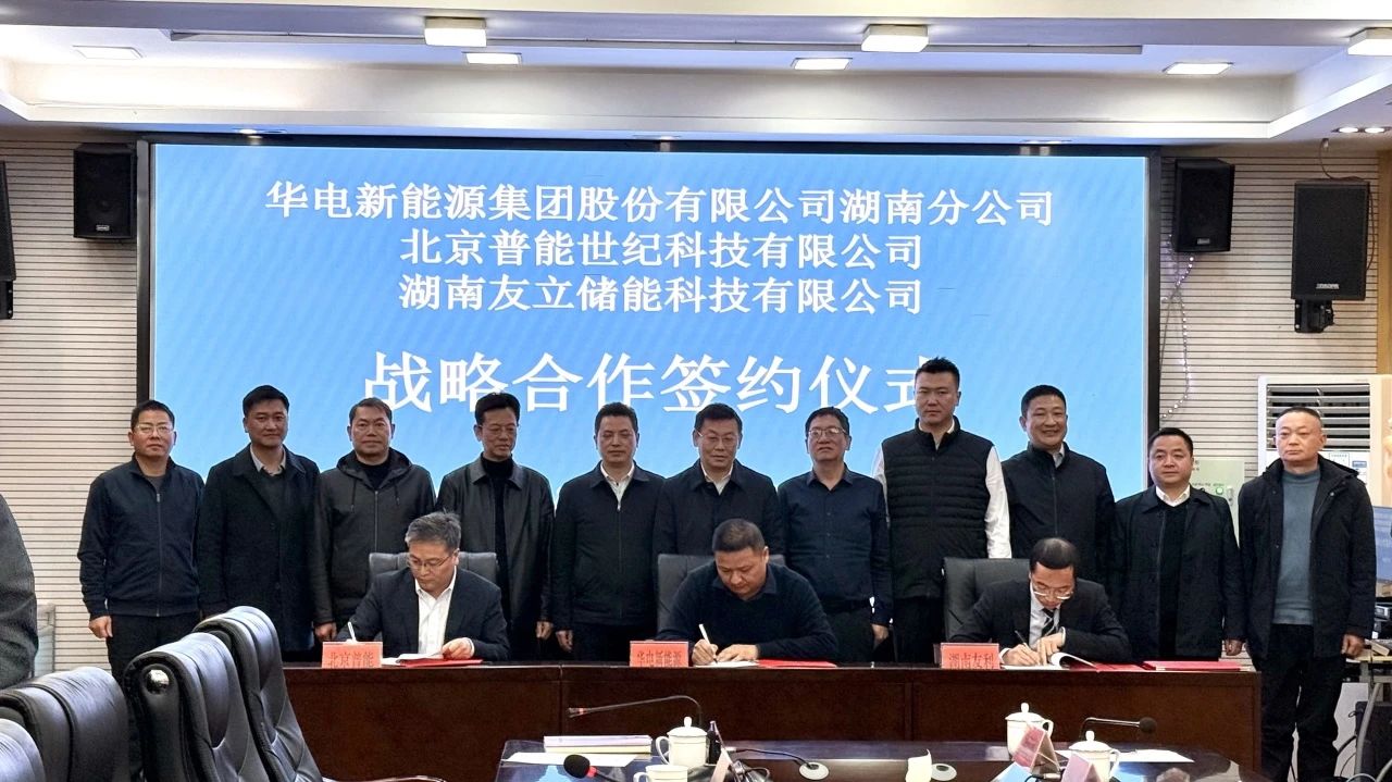 1734076337563068.jpg 3.jpg