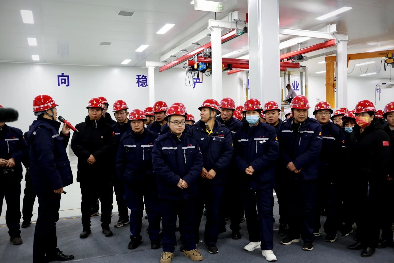 1735113106997266.jpg 2.jpg