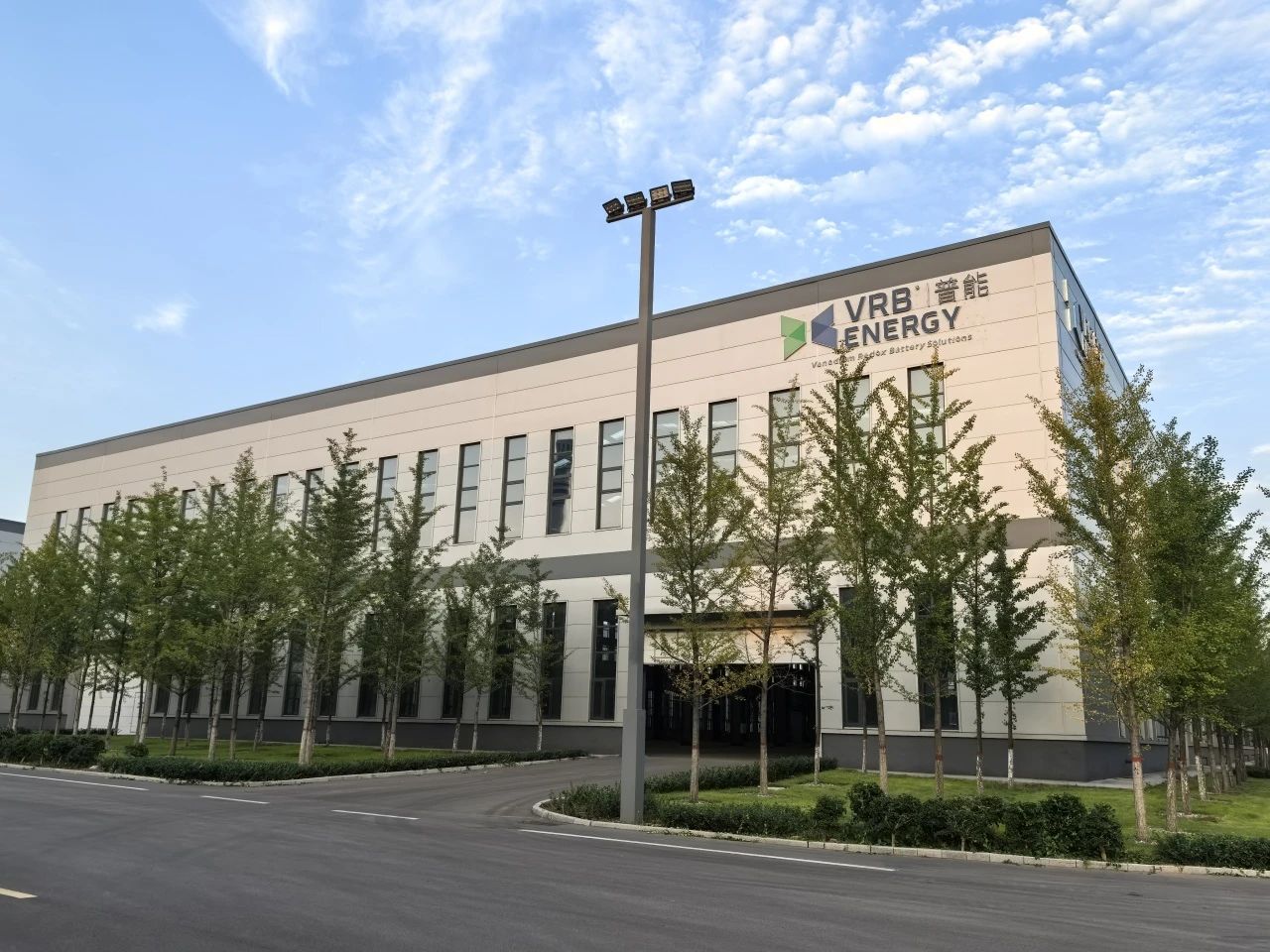 1735113165439782.jpg 9.jpg