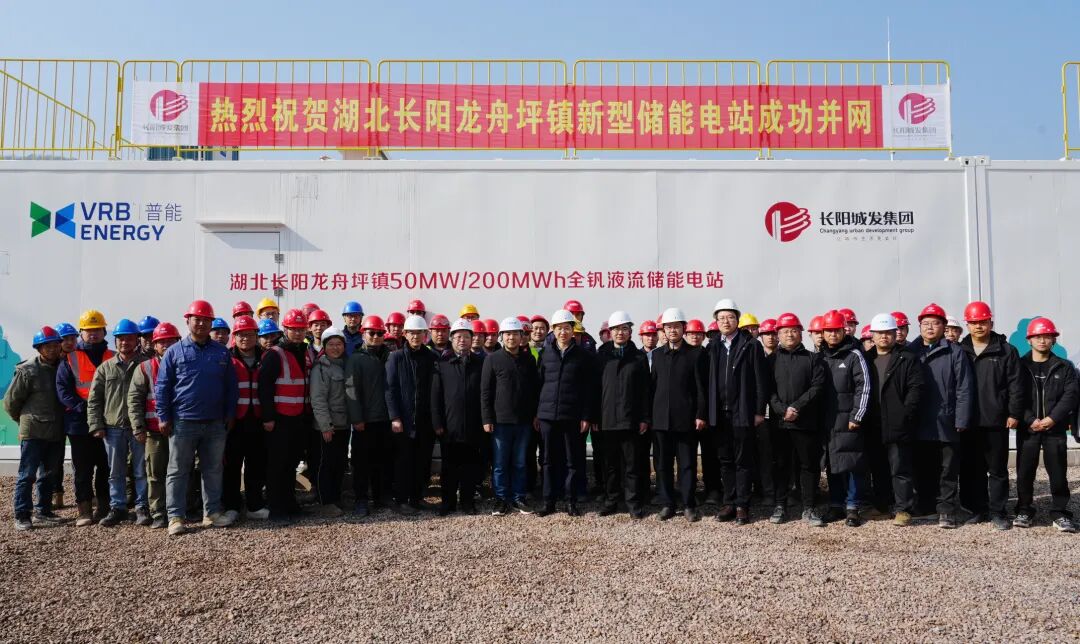 1768375159698720.jpg 1.jpg